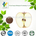 Best selling organic apple powder